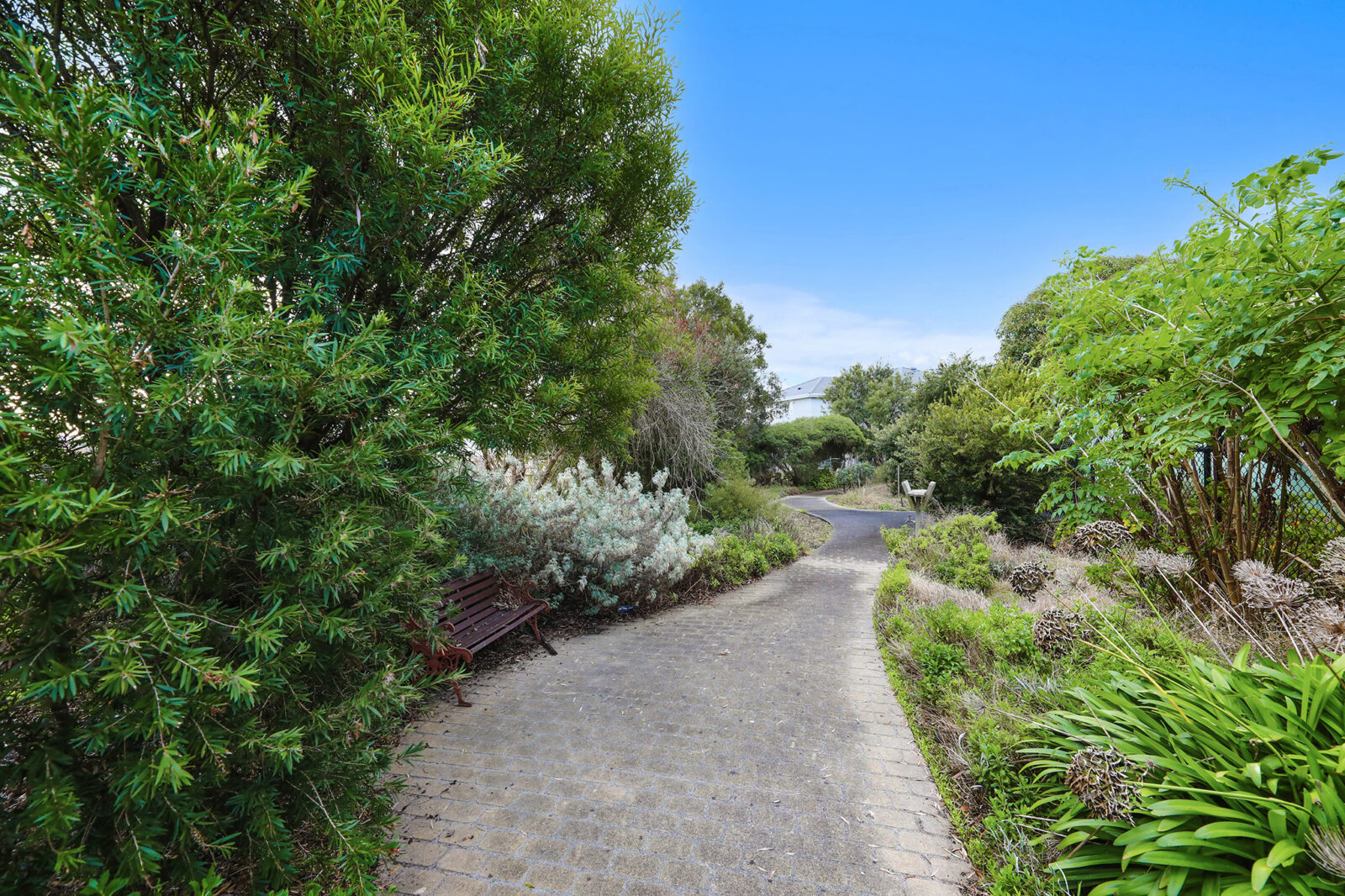 WEB_59-91PhillipParadeChurchill_039